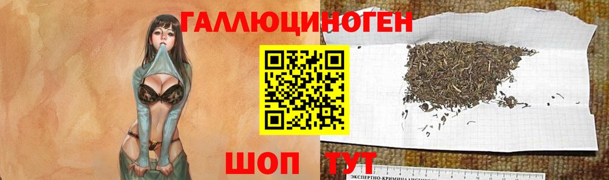 Минусинск  Галлюциногенные грибы Cubensis  Вход с VPN  Галлюциногенные грибы мицелий 